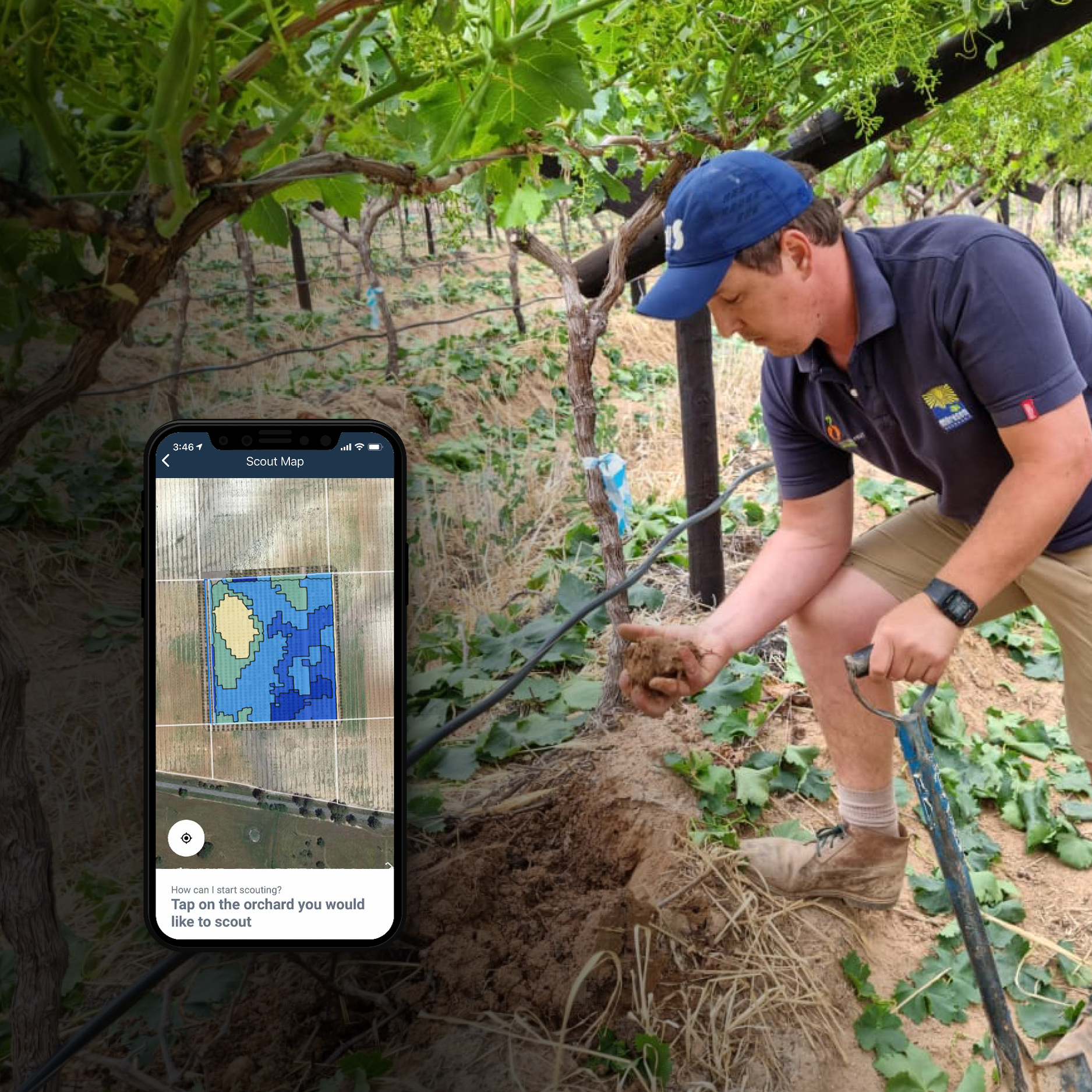 Blog_Irrigation Zones Blog_Irrigation Zones
