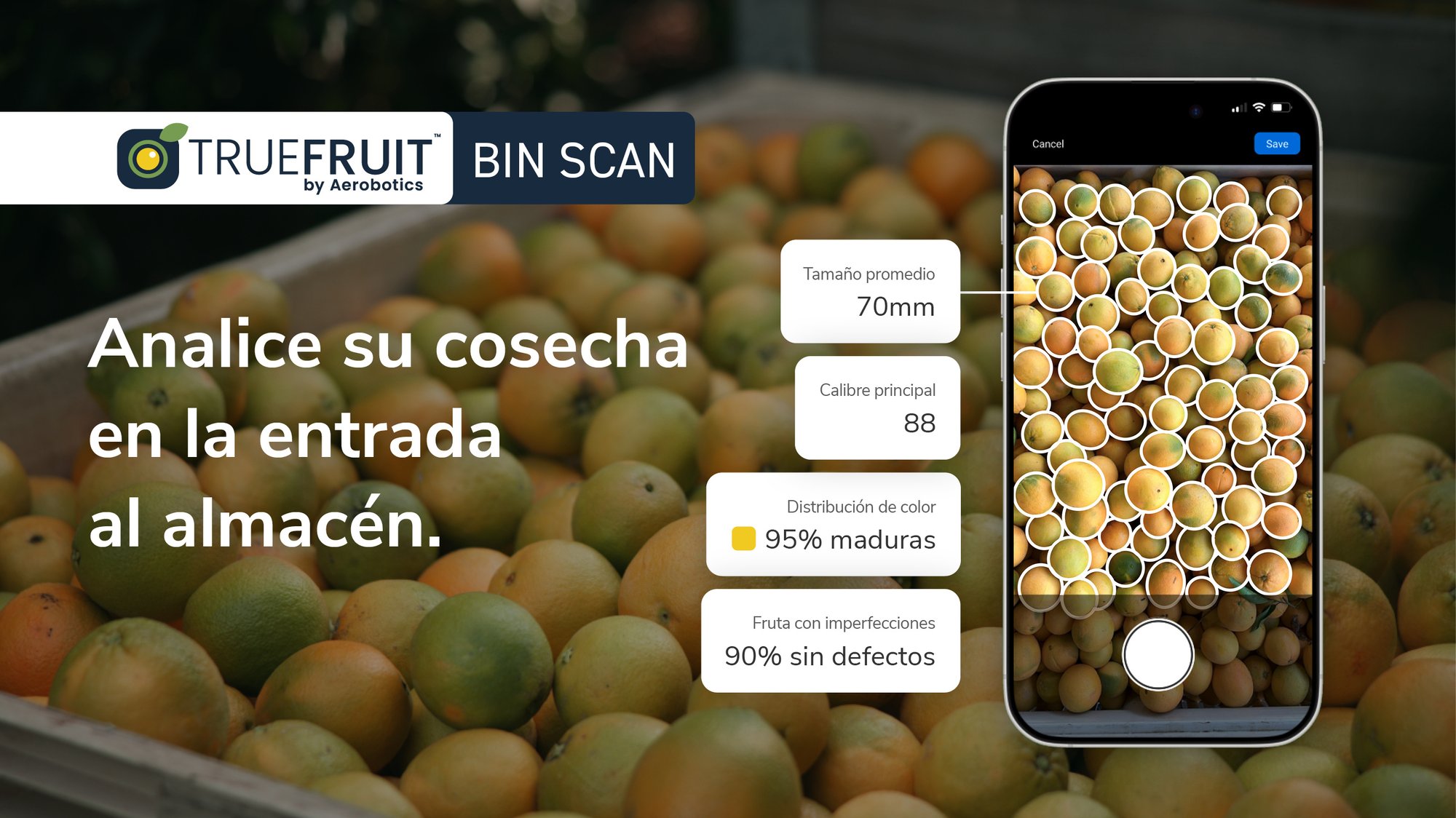 Email banner_TF_Bin Scan_JAN2025_SP