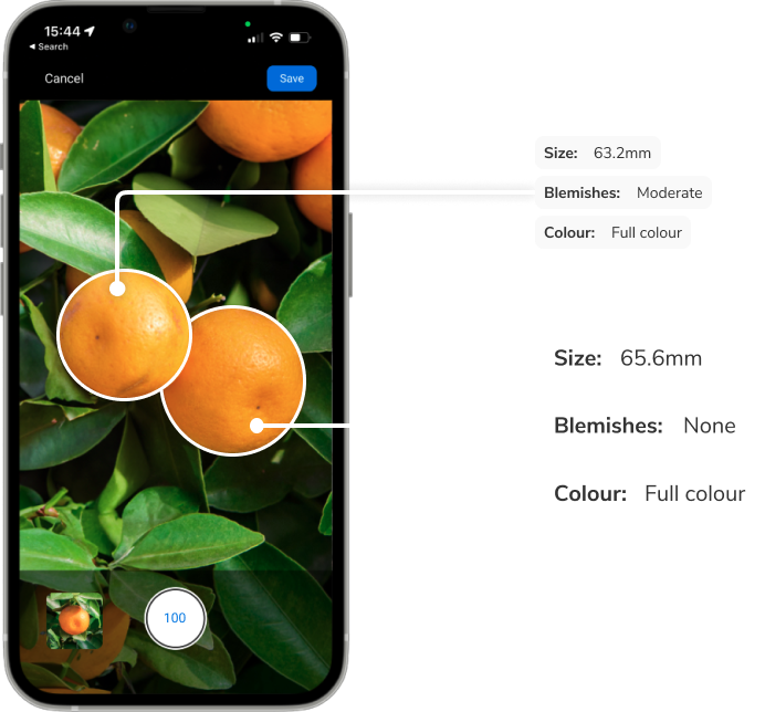 TrueFruit Grade for Citrus