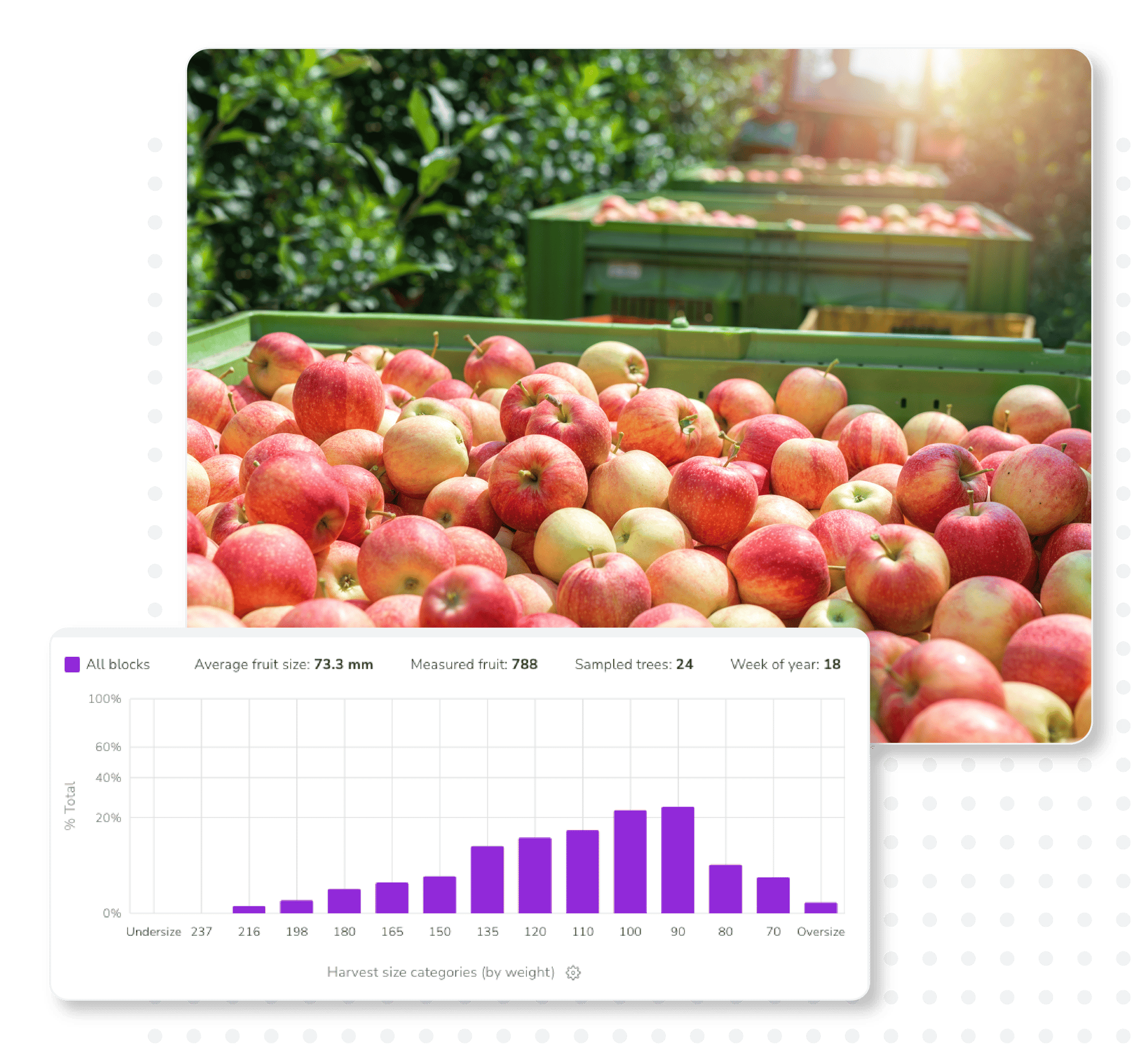 Yield Graphic_InField Bin Size Distribution_Apples
