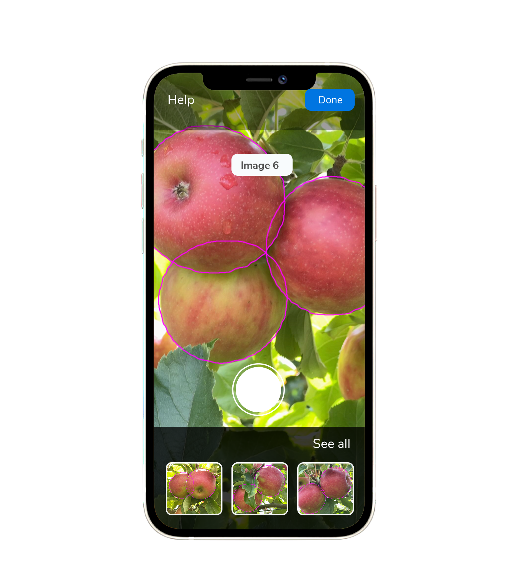 Iphone-mockup_apples