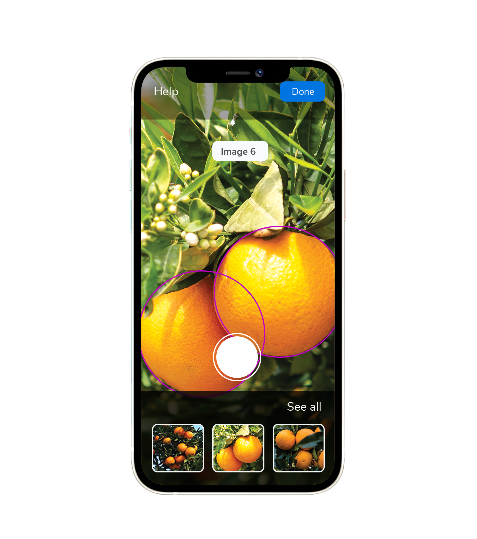 Iphone-mockup_oranges